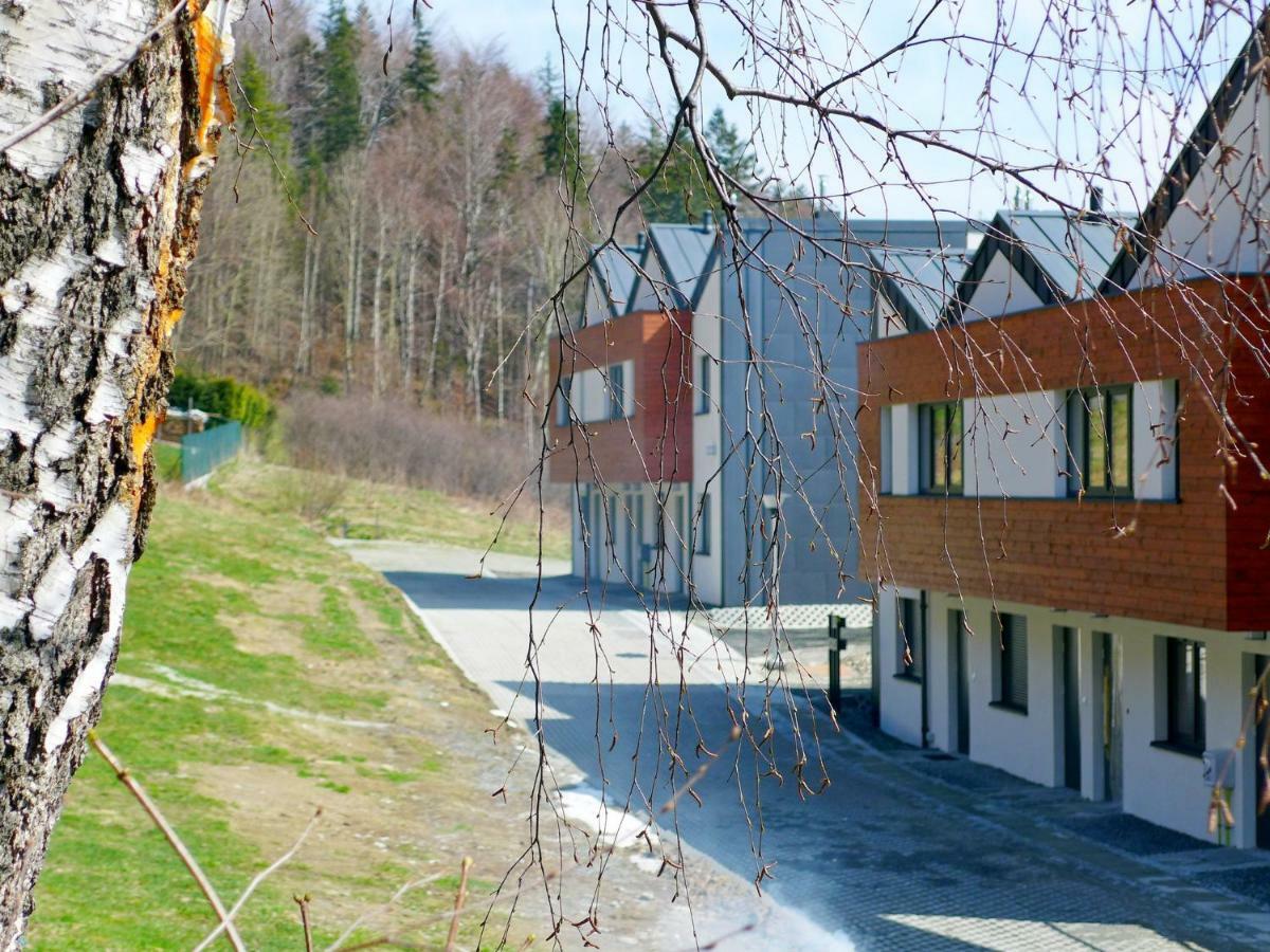 Apartamenty Zloty Widok 什切尔克 外观 照片